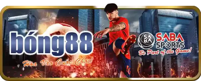 Nhập thông tin đăng nhập vaobo88